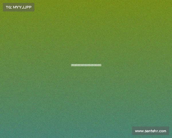 和宠物殡葬师共度一天体会生命离别与爱的重量 和宠物殡葬师共度一天体会生命离别与爱的重量